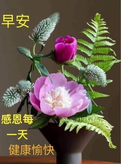 BA6DD2EF-8D81-4F33-8CC0-579C33B0A1AF-382-000000253658CB3E
