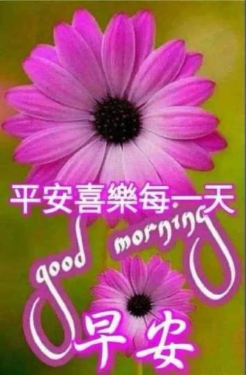 BF0B2676-E1BD-4A96-865C-80278C5B3DDD-995-00000013966289A5