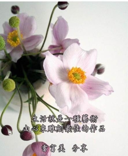 C423453E-33B8-4233-8EFF-D54AC7D757C0-681-00000022F5C60FE1