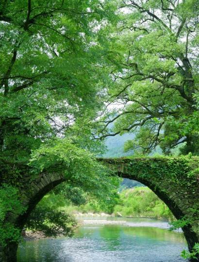 C825433F-D848-4CB2-AEBE-A58C5D429B3B-1102-0000000CA1200E5A