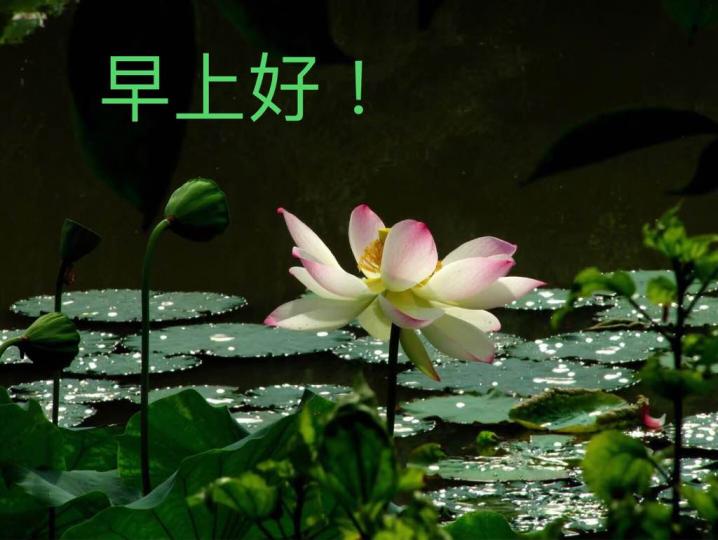 E67E7A10-A9D4-4AD6-B8A7-422B6F4CDBA3-9188-000003F080B79518