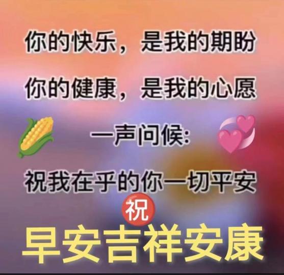 E9D2A1A6-4B69-4103-A667-AEB61B1F5617-13511-000005141FC37883