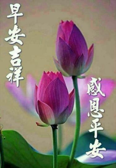 EB453EA5-D1DD-4CFB-8061-21C24BA7D0D7-32769-00001AEC2ED3E0A0