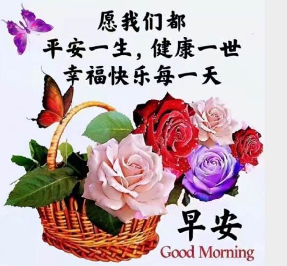 F2316E99-079A-4CC1-929A-1B538D8E0C21-13511-0000051465C52545