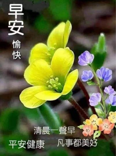 F43A29D2-A620-4C41-8908-100615A650A3-4059-0000011B161010DC