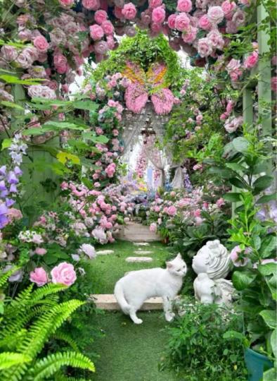 F714194B-2FFF-4579-8DB7-0D6FFA0CF113-779-00000009BA44FEF9