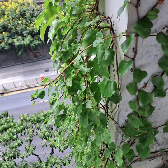 image%3A1000000427