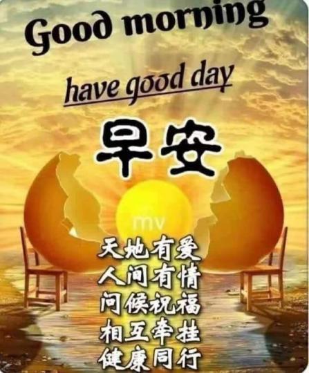 image%3A1000000821