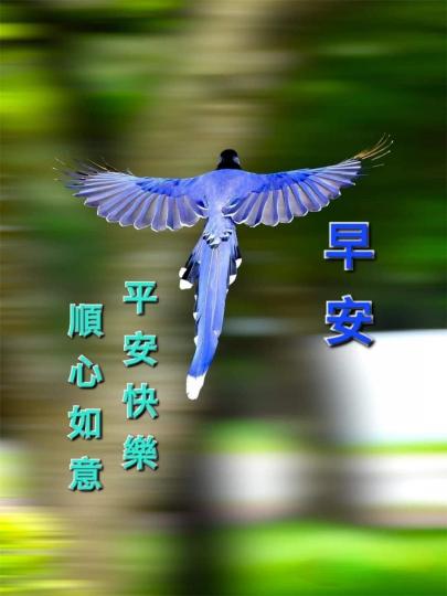 image%3A1000002503