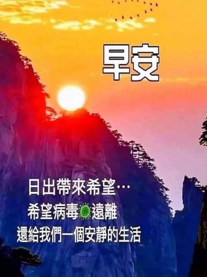 image%3A1000002545