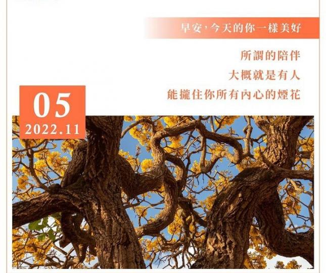 image%3A1000004678