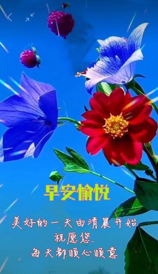 image%3A1000004926
