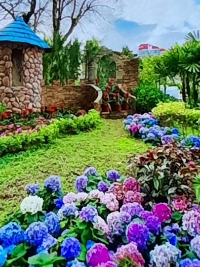 image%3A1000005155_0