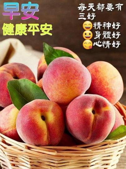 image%3A1000005300