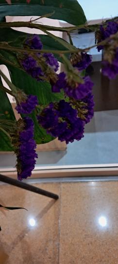 image%3A1000006423