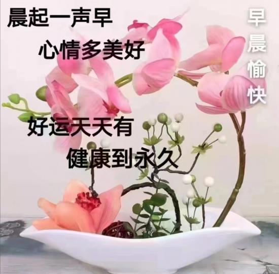 image%3A1000006801