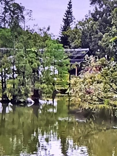 image%3A1000009434_1
