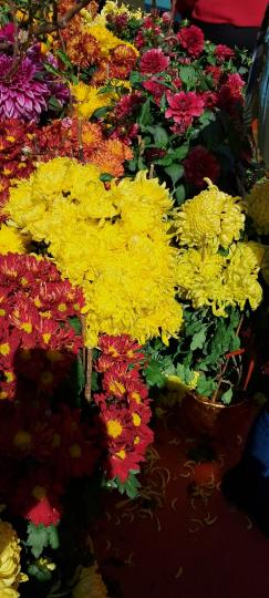 image%3A1000010594_10
