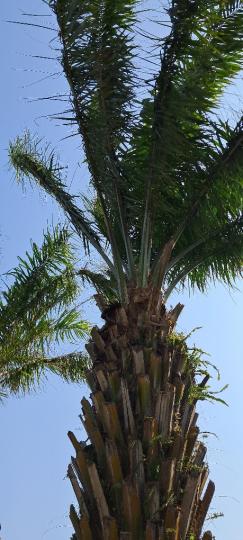 image%3A1000012411