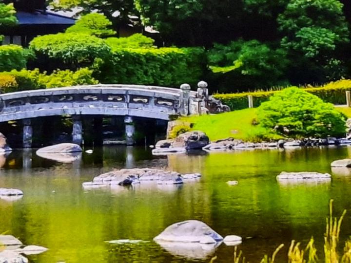 image%3A1000012490