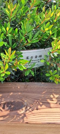 image%3A1000013201