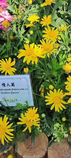 image%3A1000013213