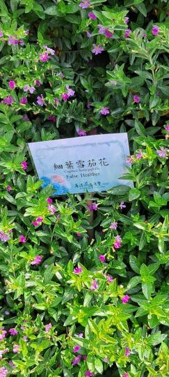 image%3A1000013259