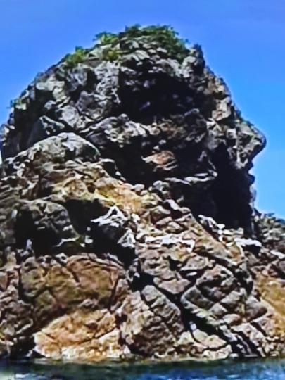 image%3A1000013765