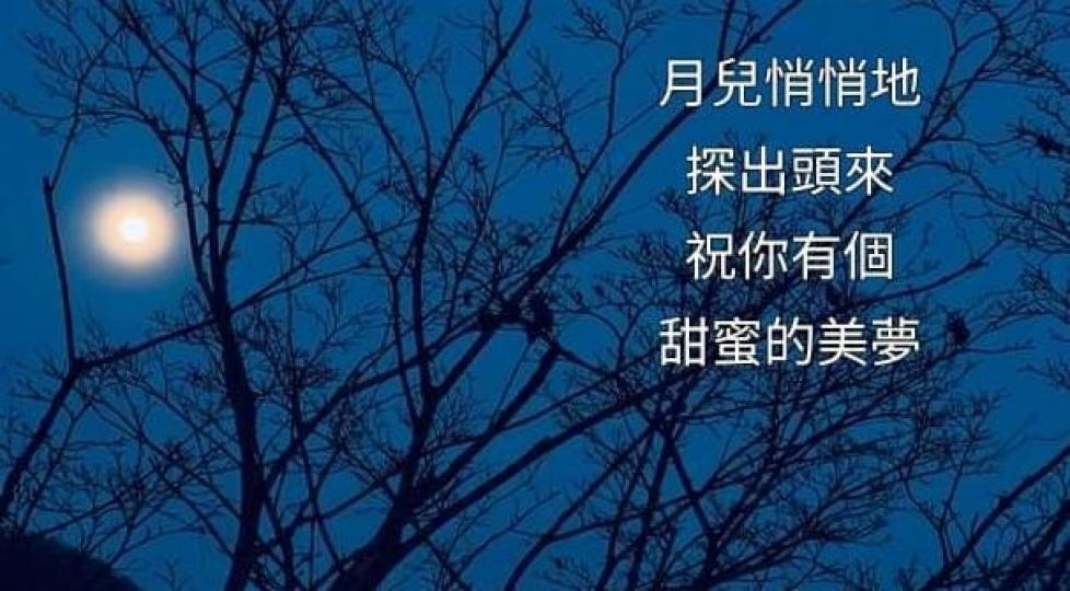 image%3A1000014304