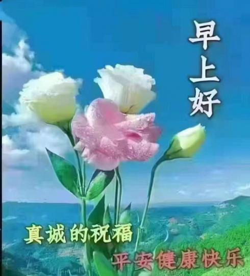 image%3A1000017456