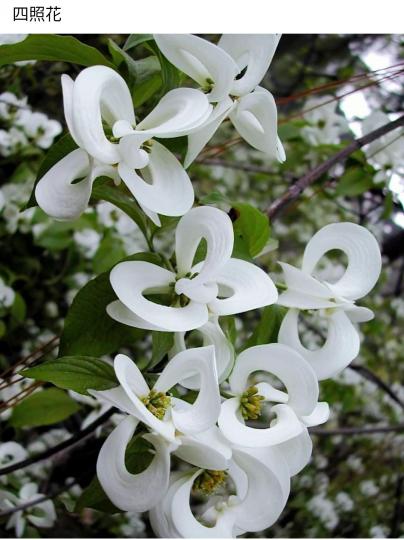 image%3A1000019782_0