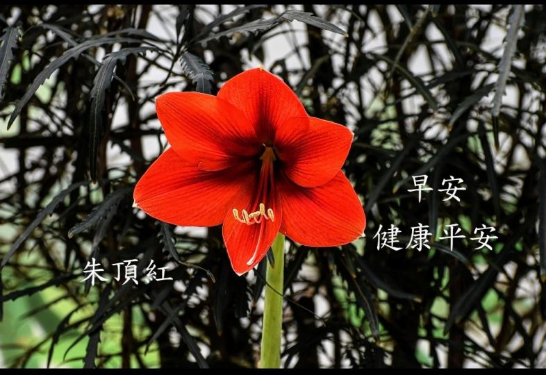 image%3A1000020565