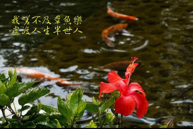 image%3A1000021220_0