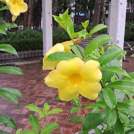 image%3A1000021400_1