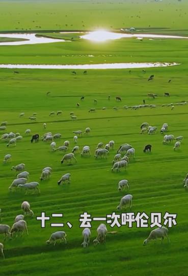 image%3A1000025593