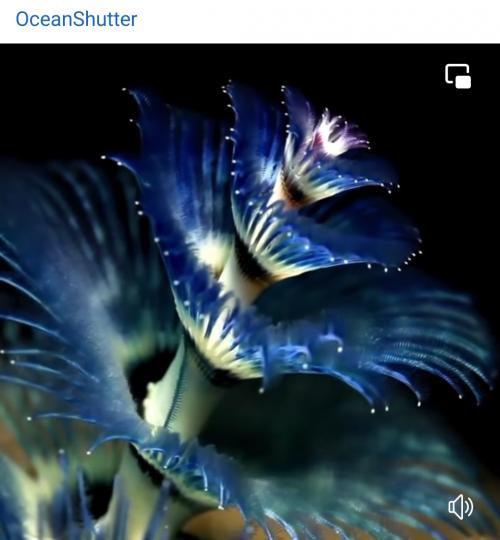 image%3A1000025618