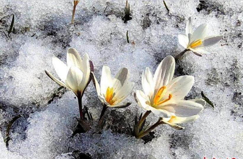image%3A1000025722