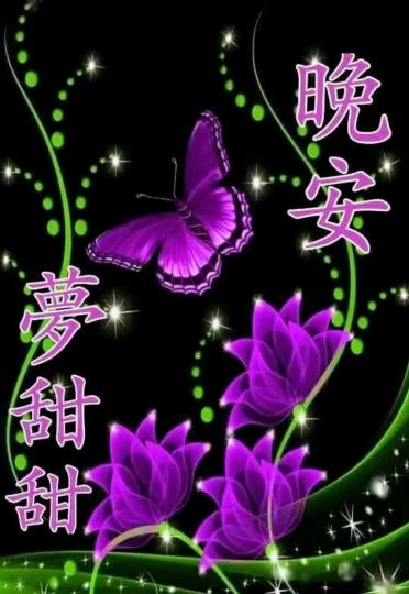 image%3A1000026406_2
