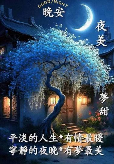 image%3A1000027554_0