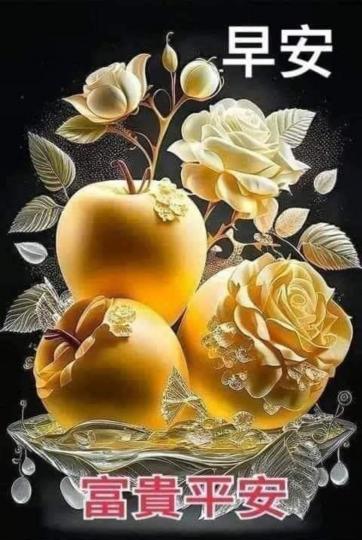 image%3A1000027641