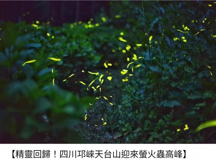 image%3A1000027654