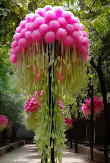image%3A1000028489