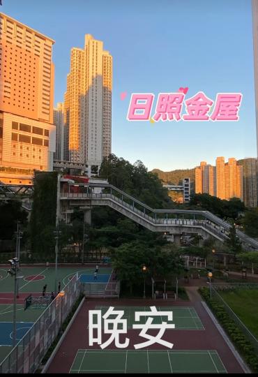 image%3A1000029499_0