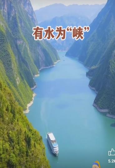 image%3A1000029620