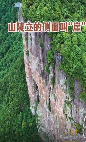 image%3A1000029624