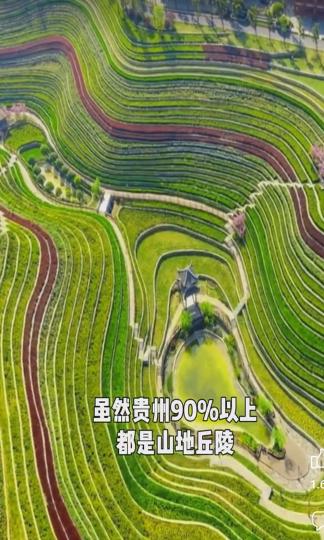 image%3A1000029681
