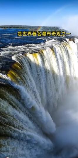 image%3A1000029688