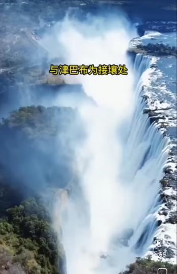 image%3A1000029701