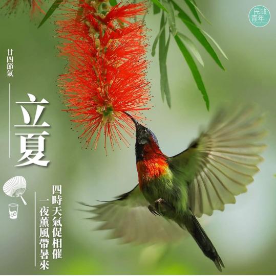 image%3A1000029993