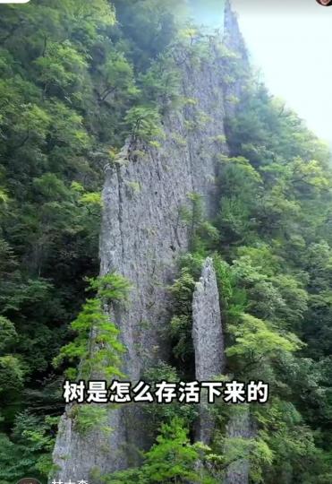 image%3A1000030161